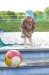 IMG_20250603_183145